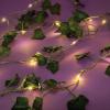 Make It Real 3C4G: Photo Collage & Ivy Fairy Lights – 28 pcs, DIY Includes 3 Ivy String Lights & Photos Collage Cards, USB or Battery Powered Lights, Ages 8+, Three Cheers for Girls